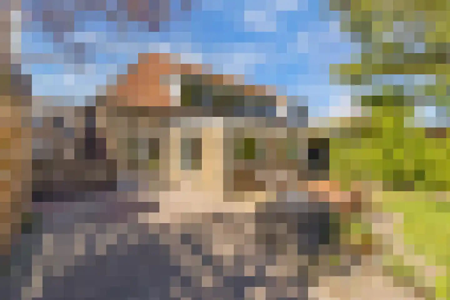 De Buorren 40 Lippenhuizen thumbnail 48