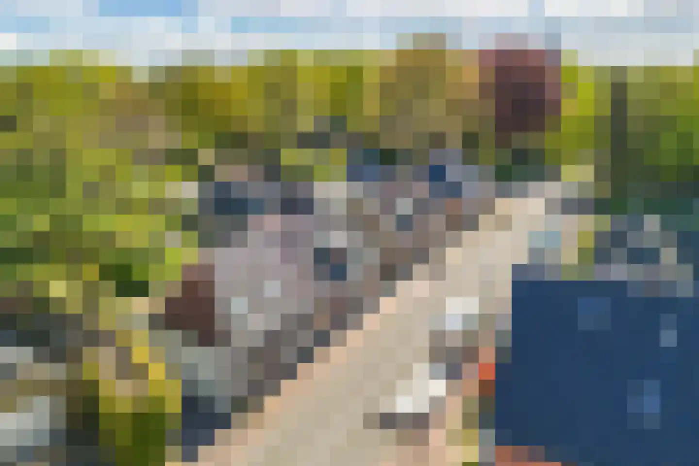 De Buorren 40 Lippenhuizen thumbnail 51