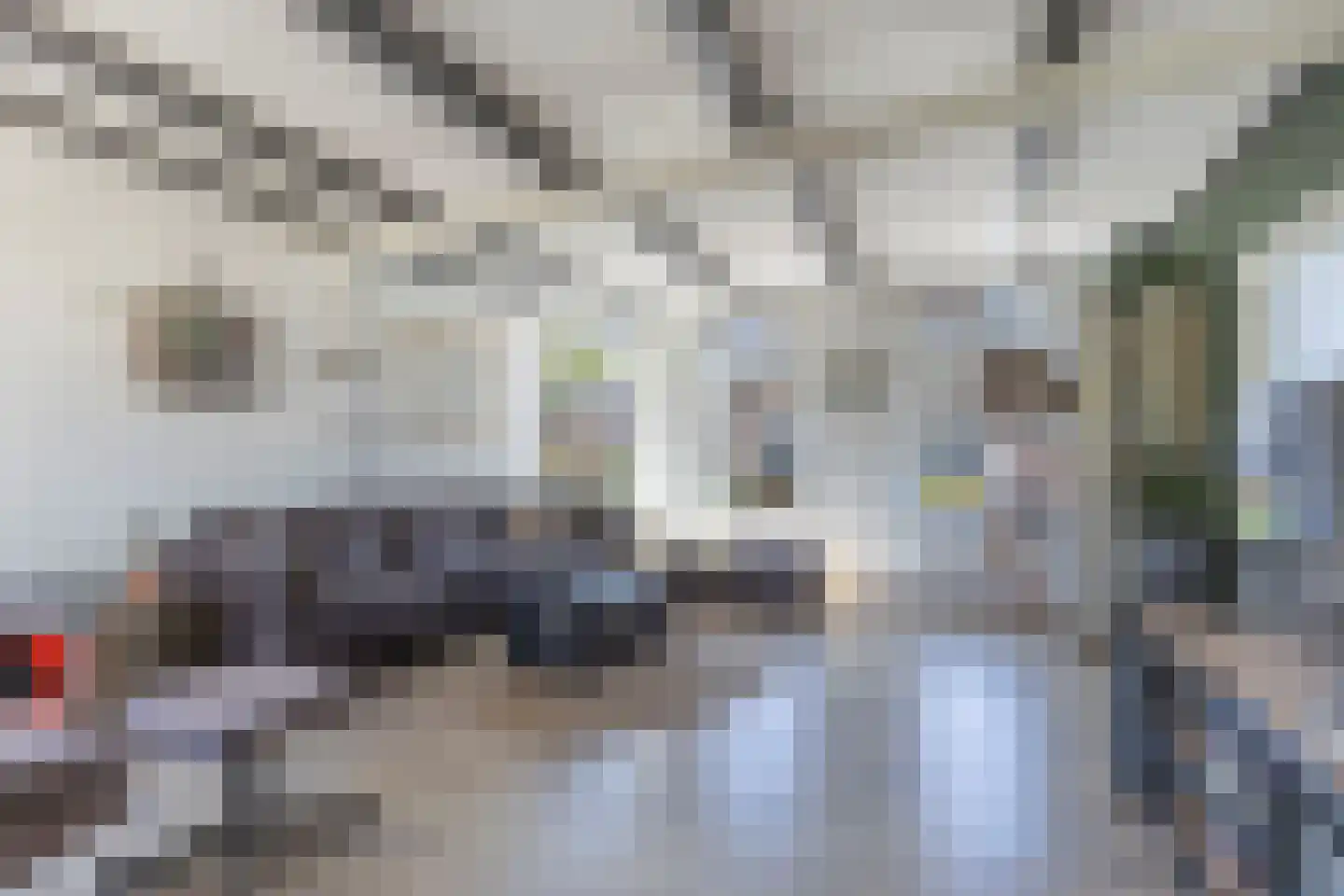 De Buorren 40 Lippenhuizen thumbnail 9