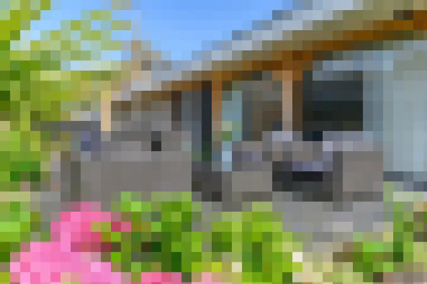 De Buorren 52 Lippenhuizen thumbnail 20