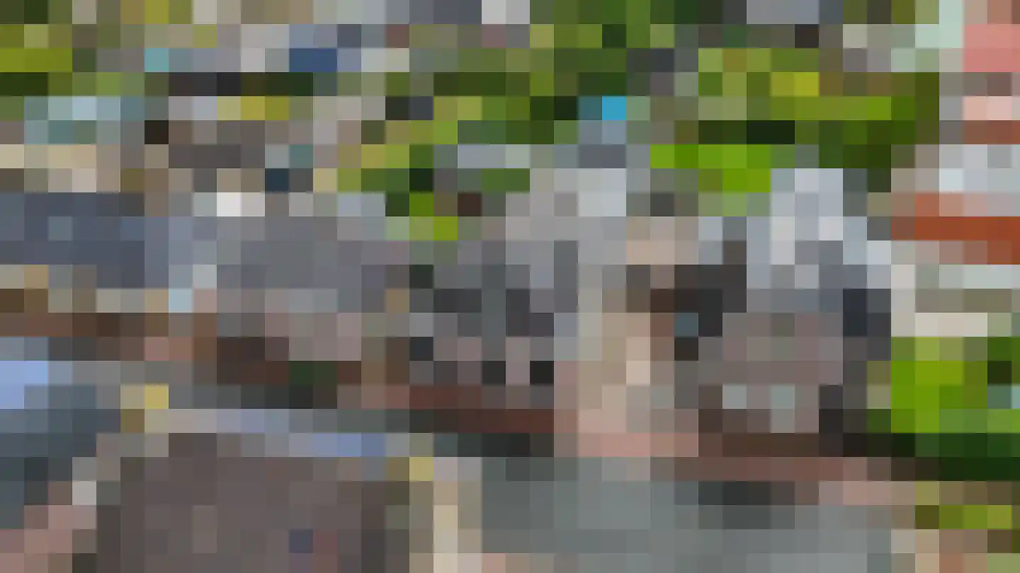 De Buorren 52 Lippenhuizen thumbnail 31