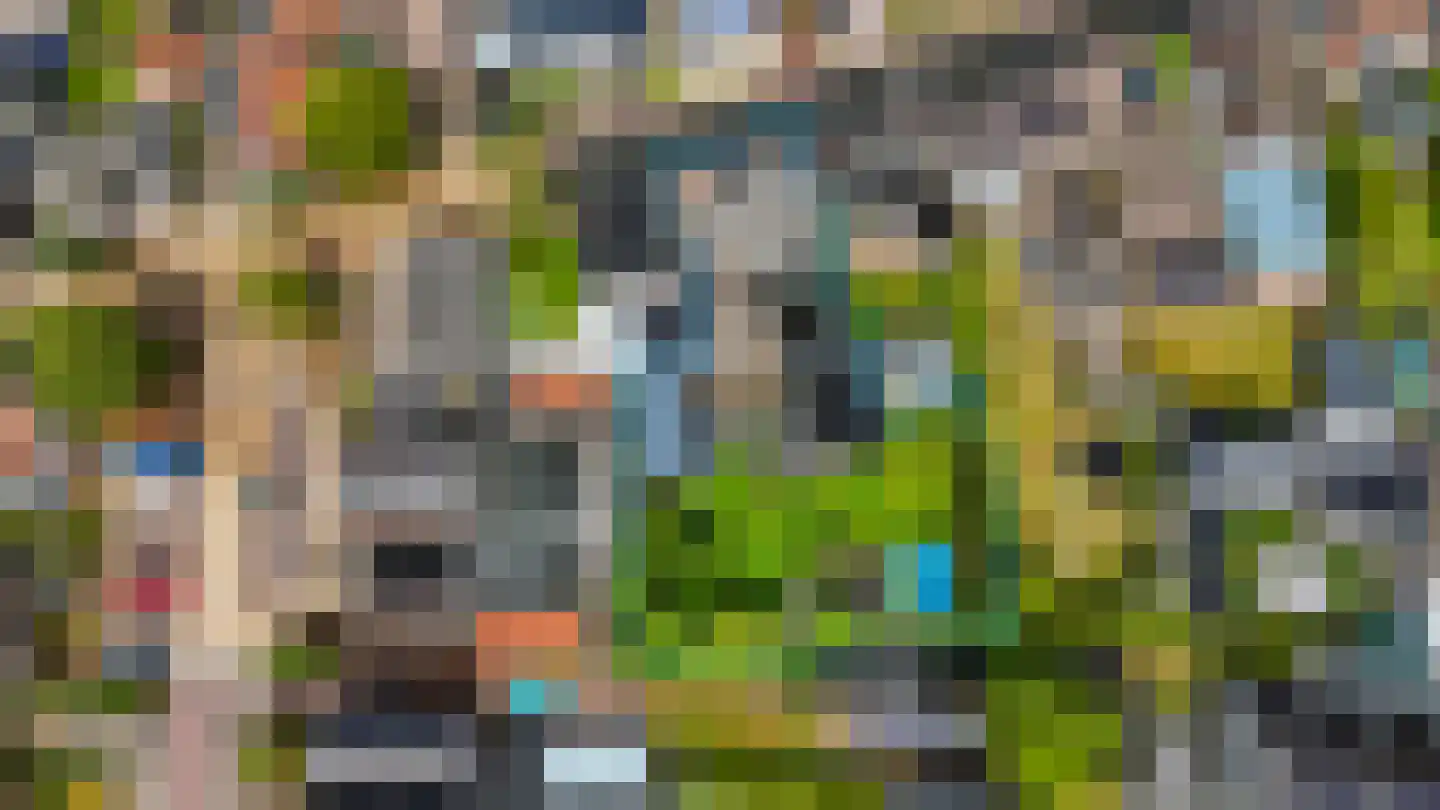 De Buorren 52 Lippenhuizen thumbnail 32