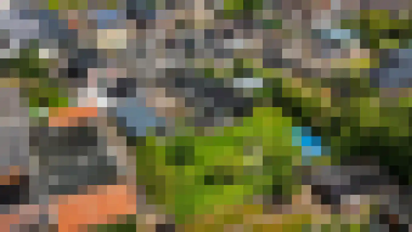 De Buorren 52 Lippenhuizen thumbnail 34