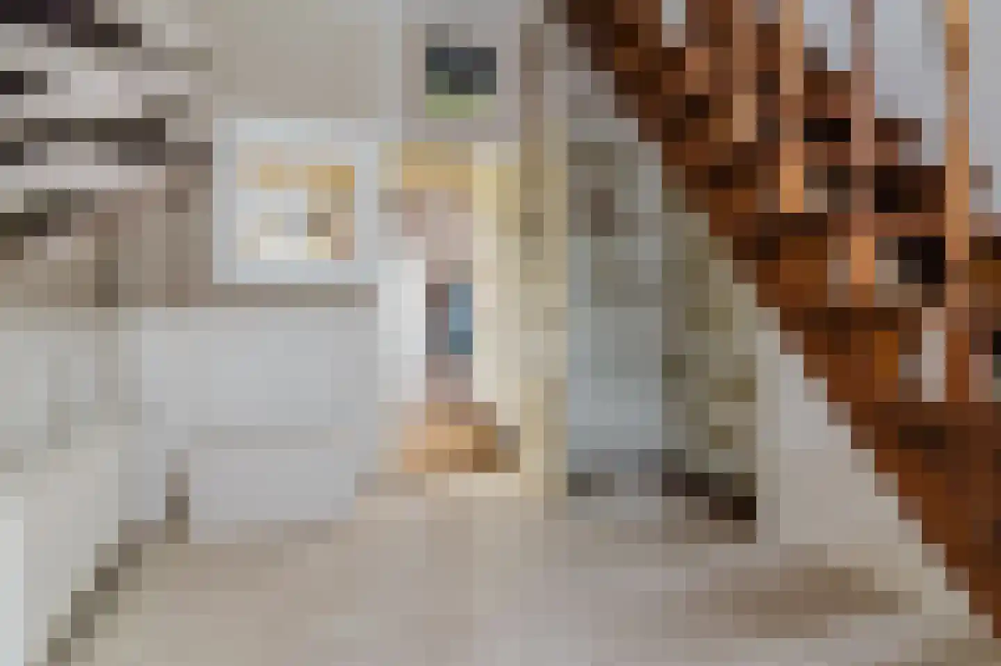 De Buorren 52 Lippenhuizen thumbnail 35