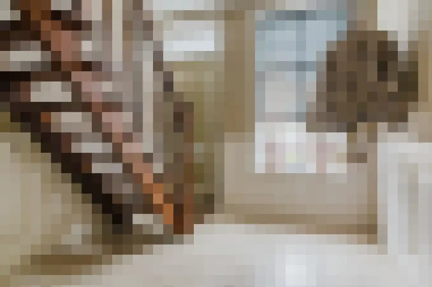 De Buorren 52 Lippenhuizen thumbnail 36