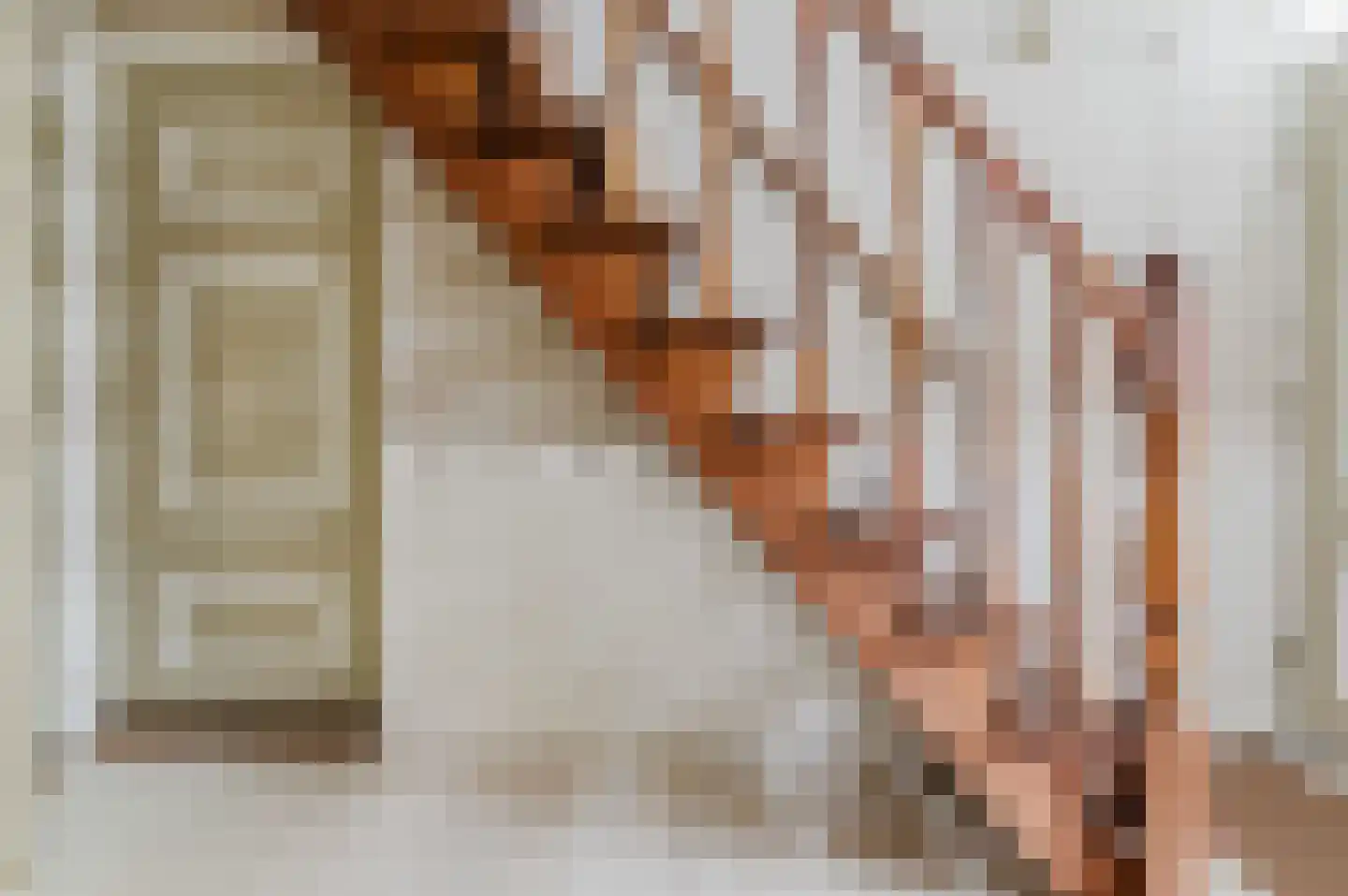 De Buorren 52 Lippenhuizen thumbnail 37