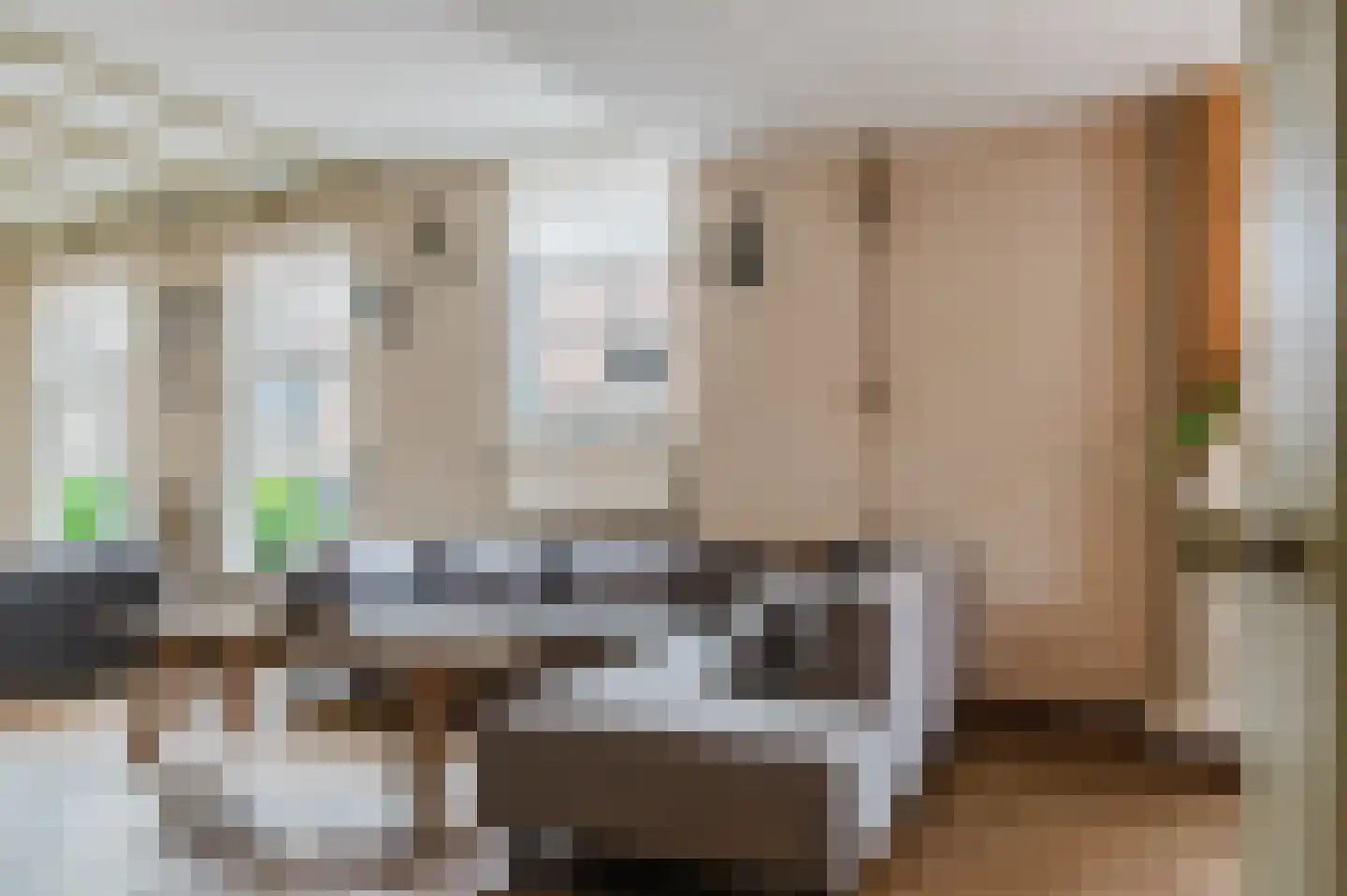 De Buorren 52 Lippenhuizen thumbnail 38