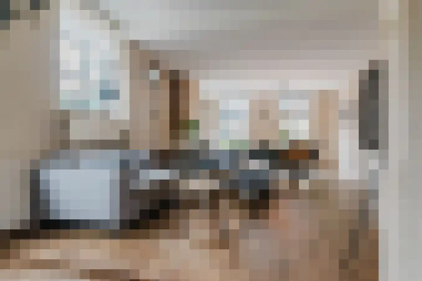 De Buorren 52 Lippenhuizen thumbnail 39