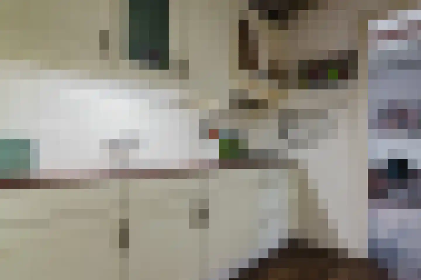 De Buorren 52 Lippenhuizen thumbnail 4