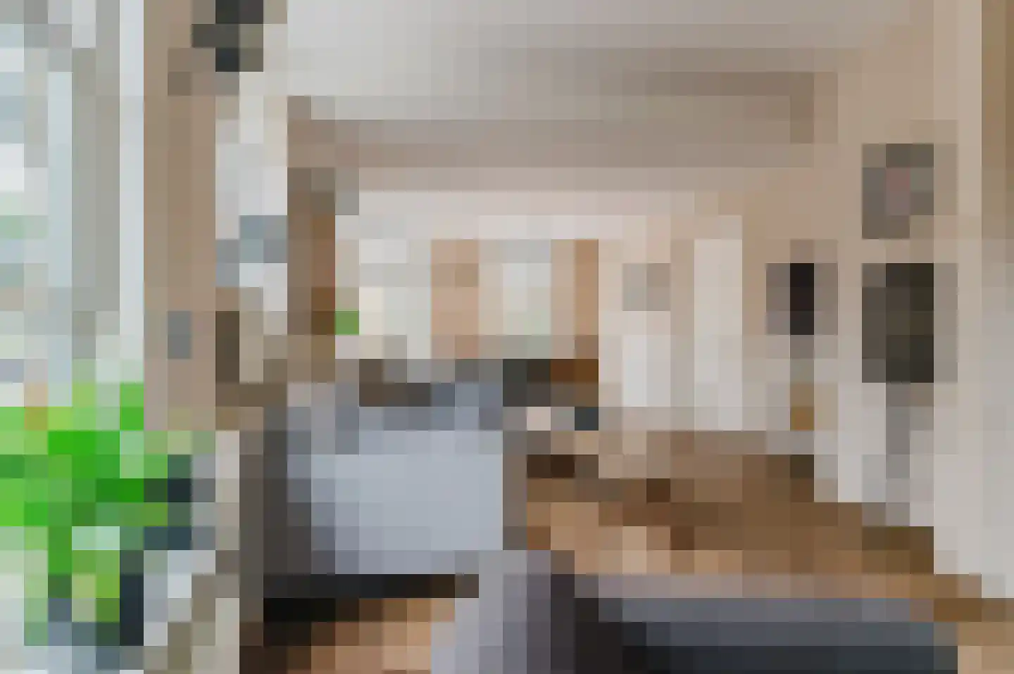 De Buorren 52 Lippenhuizen thumbnail 40