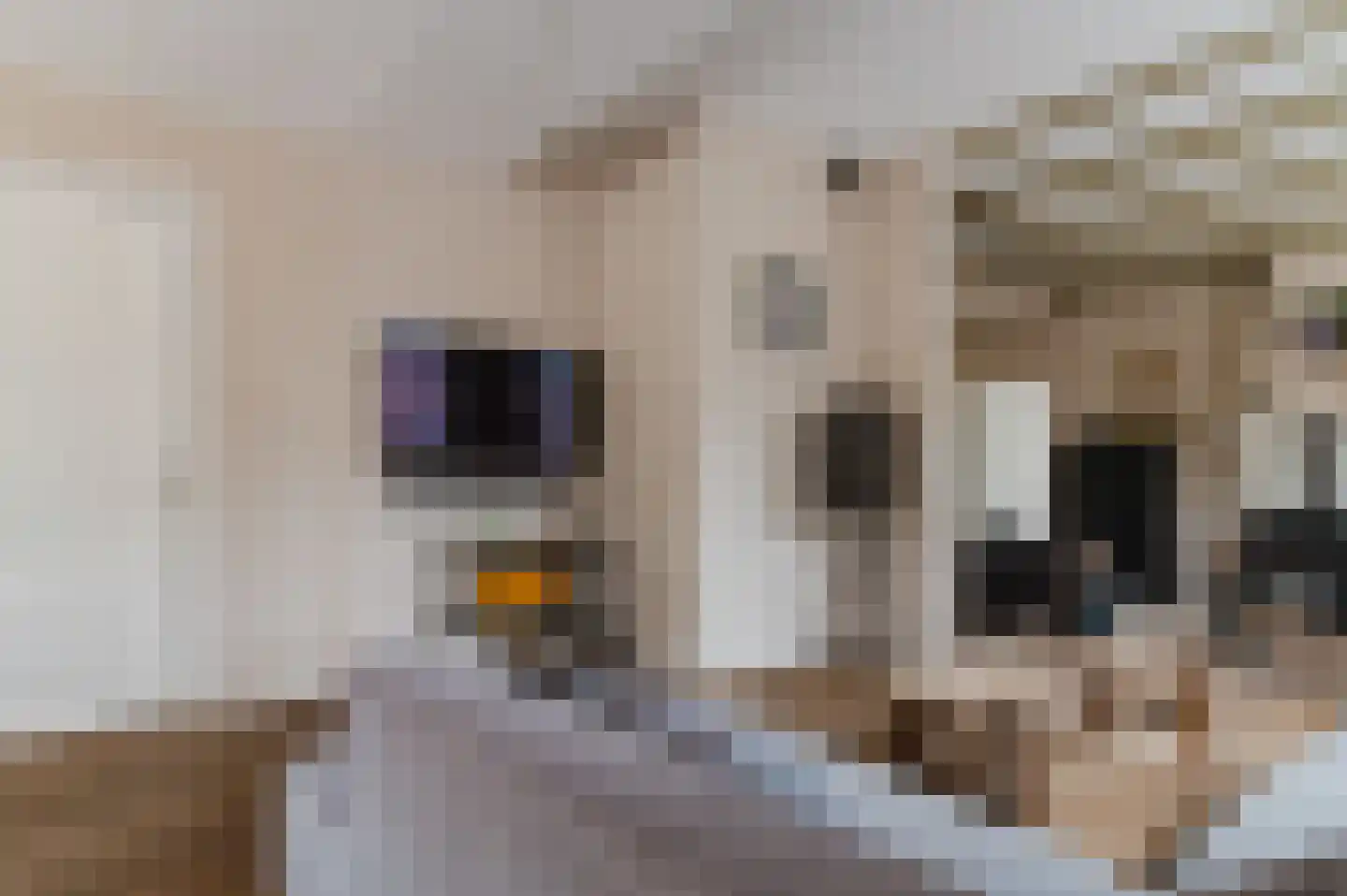 De Buorren 52 Lippenhuizen thumbnail 41