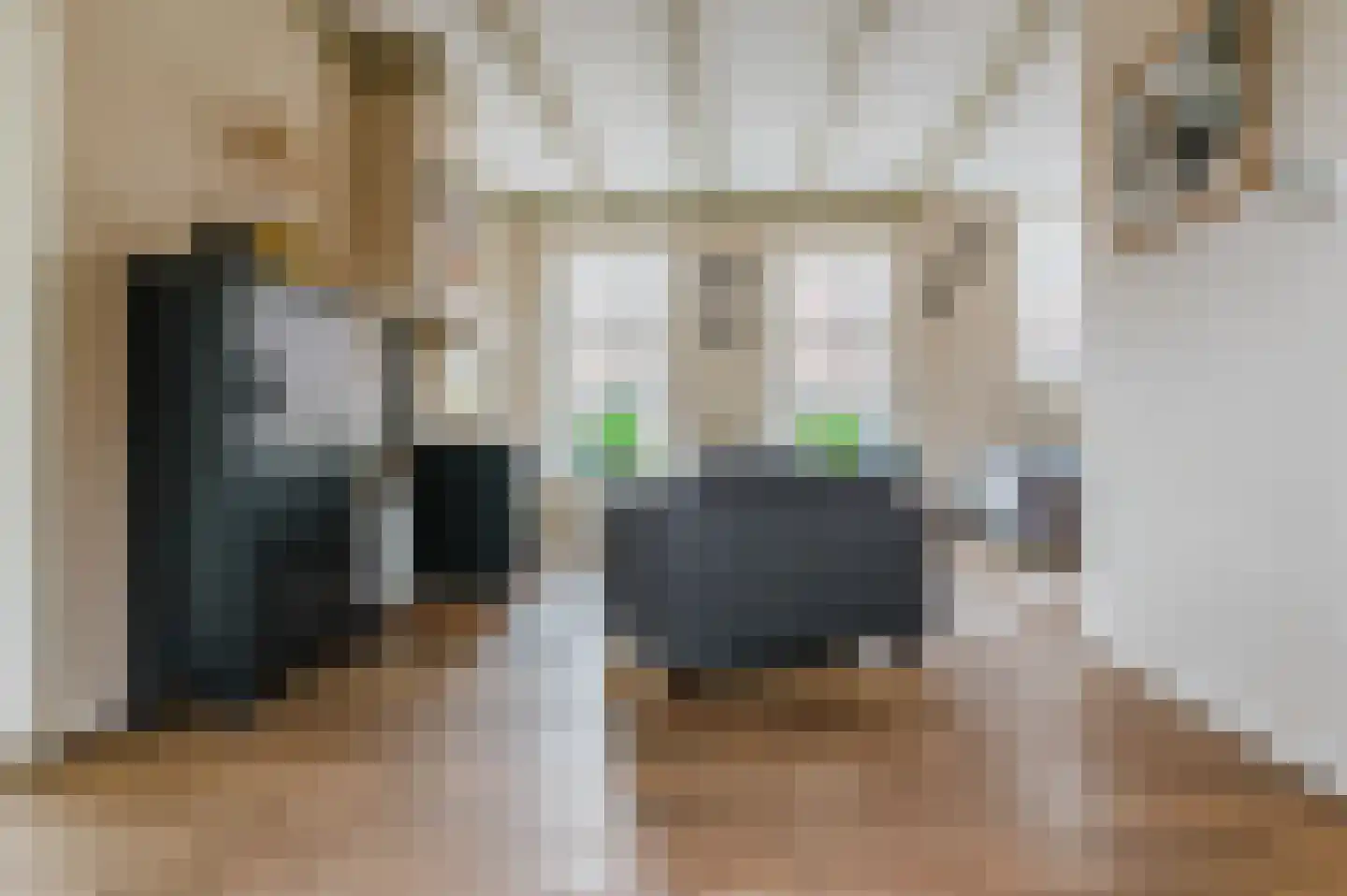 De Buorren 52 Lippenhuizen thumbnail 45