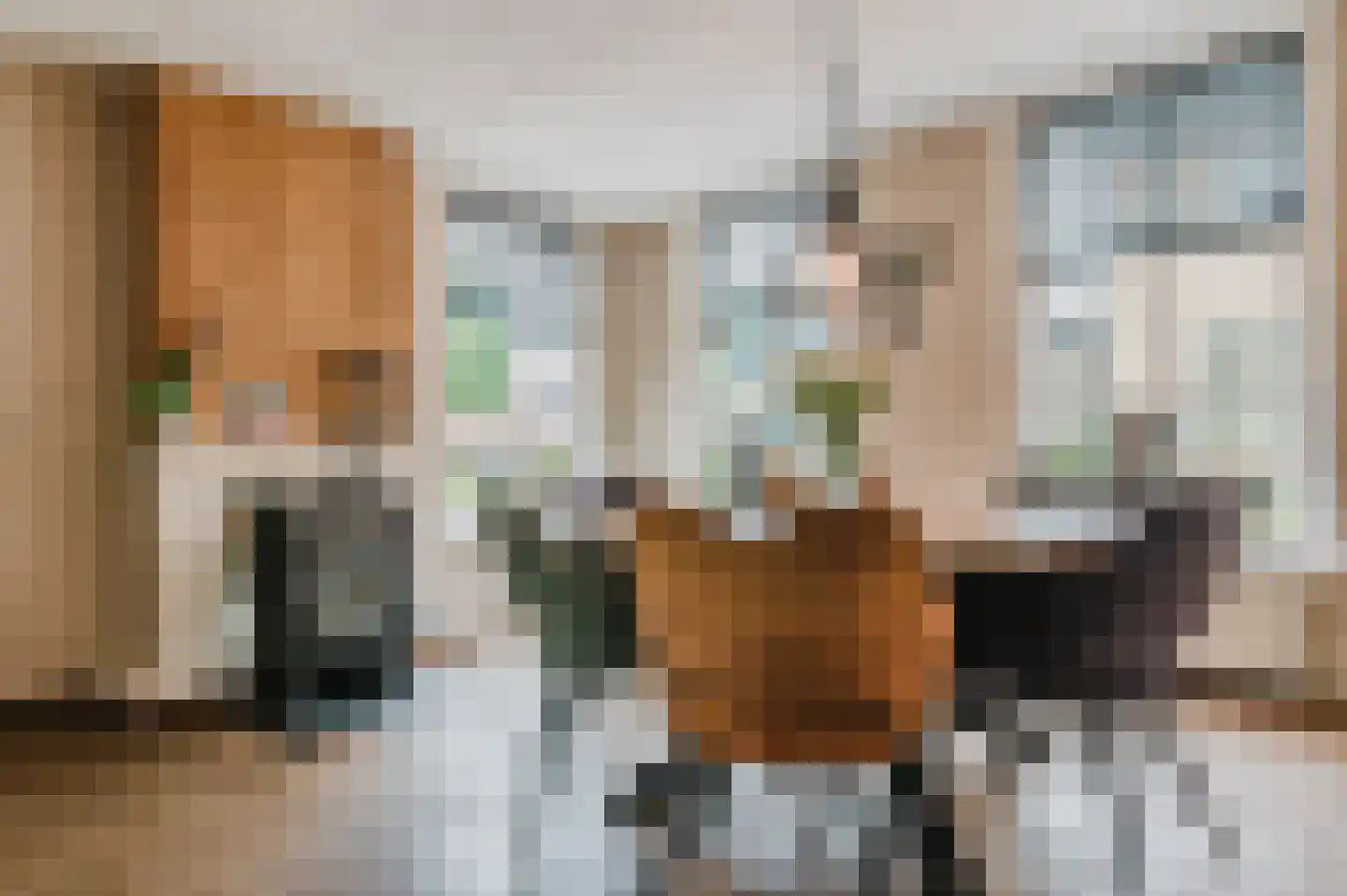 De Buorren 52 Lippenhuizen thumbnail 46