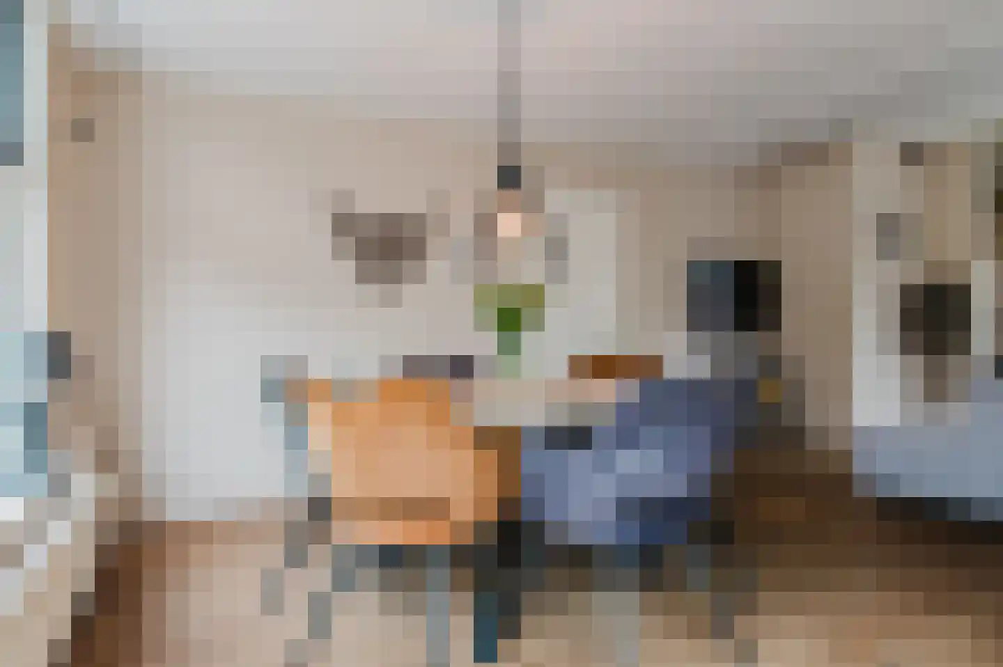 De Buorren 52 Lippenhuizen thumbnail 47