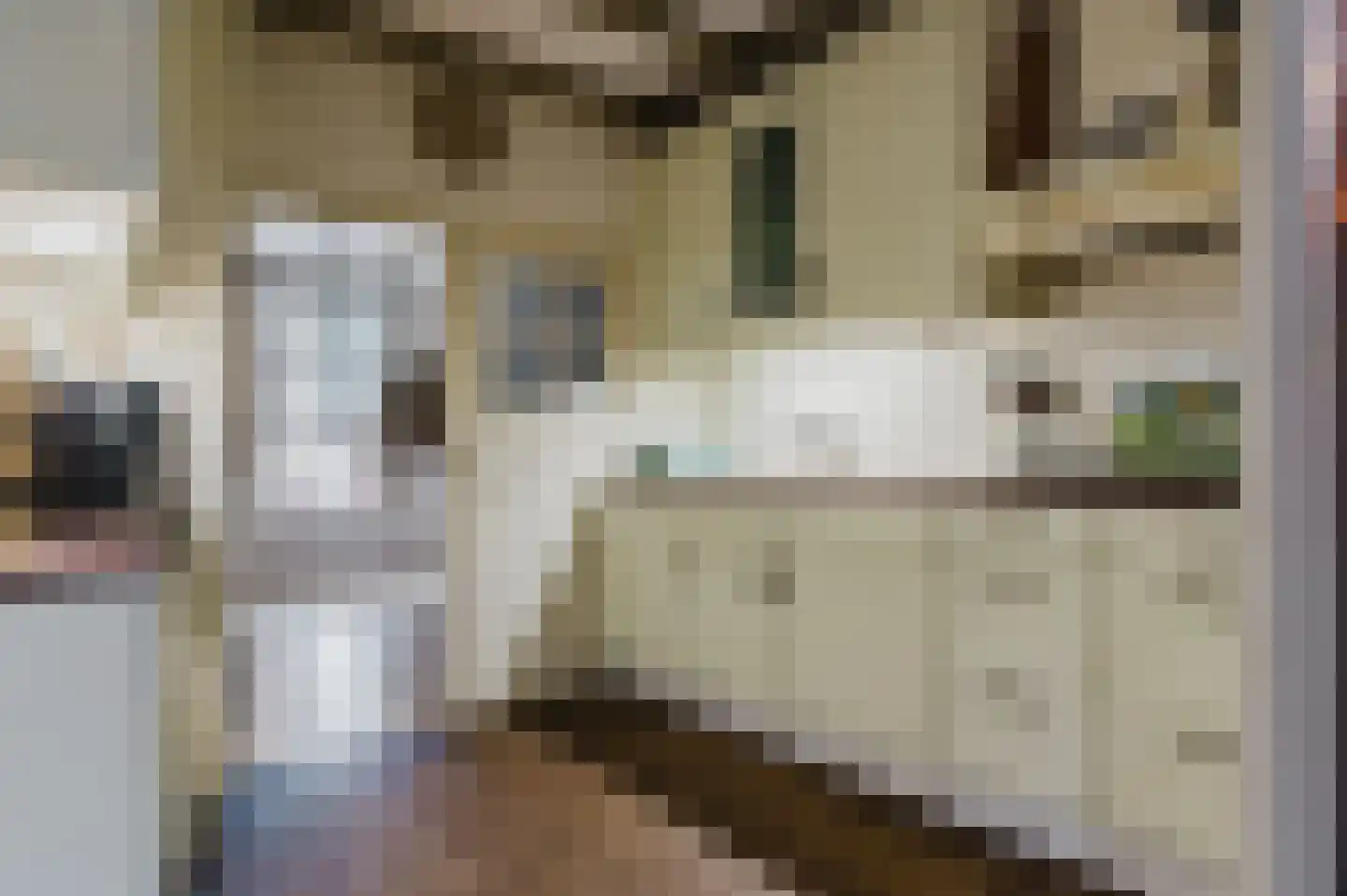 De Buorren 52 Lippenhuizen thumbnail 50