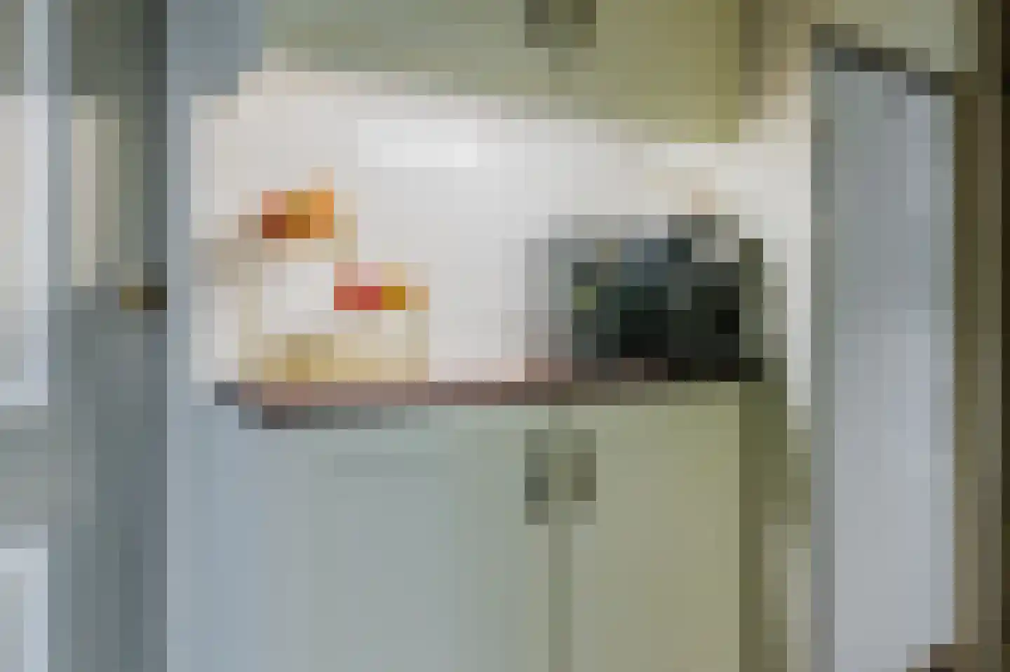 De Buorren 52 Lippenhuizen thumbnail 52