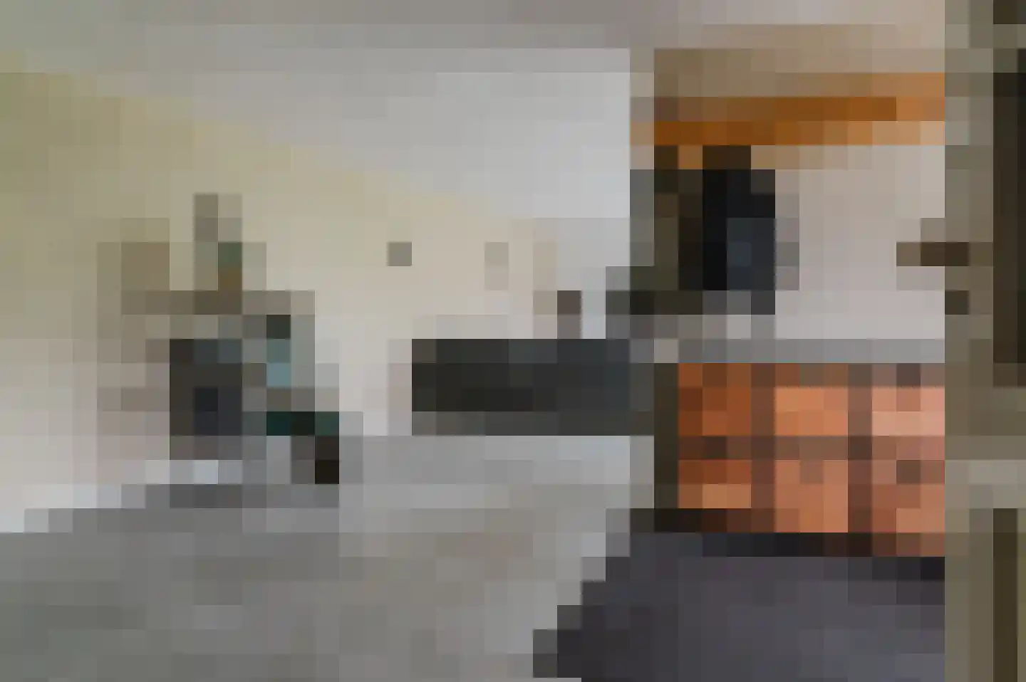 De Buorren 52 Lippenhuizen thumbnail 57