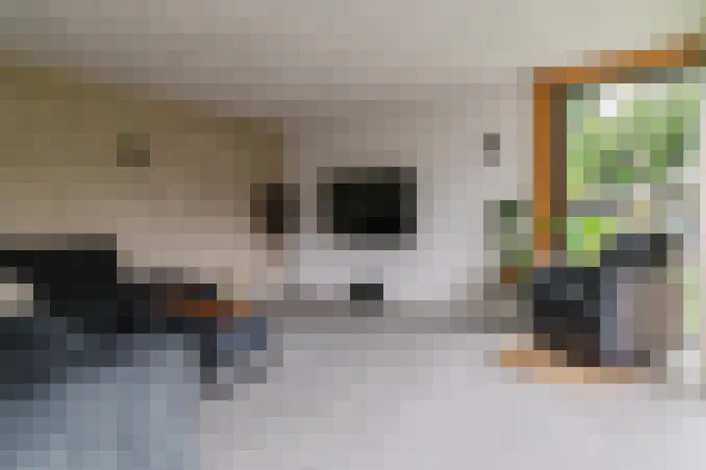 De Buorren 52 Lippenhuizen thumbnail 60