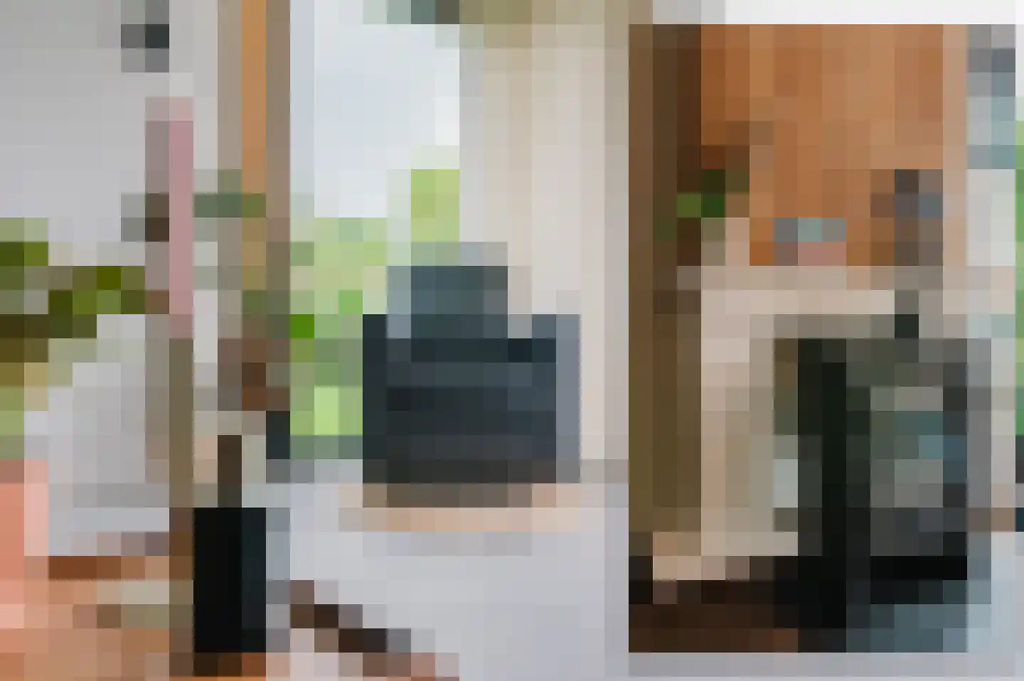 De Buorren 52 Lippenhuizen thumbnail 62
