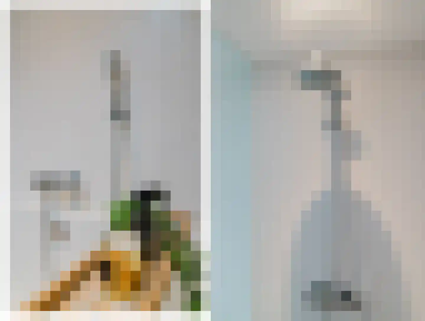 De Buorren 52 Lippenhuizen thumbnail 68