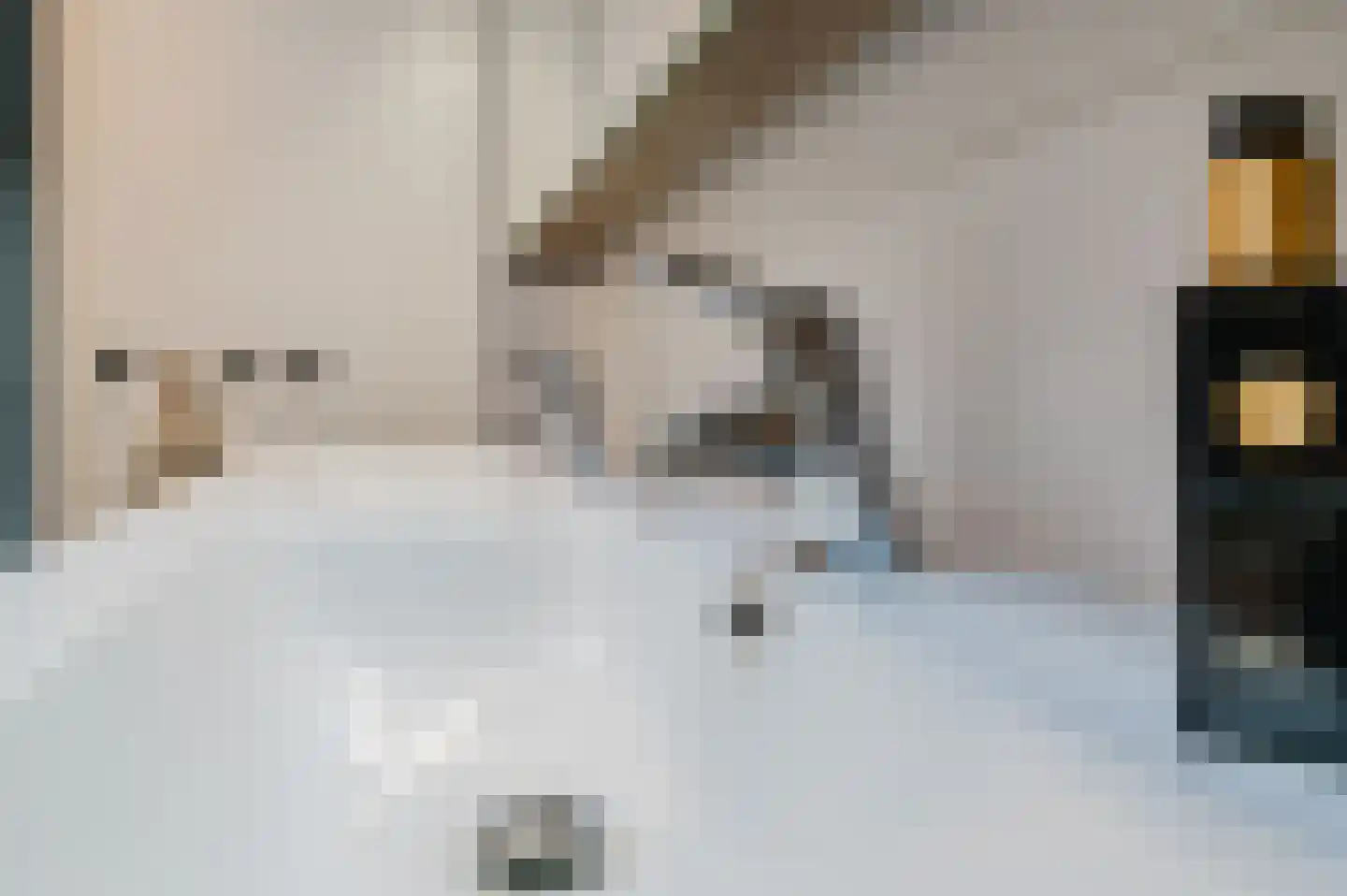 De Buorren 52 Lippenhuizen thumbnail 69