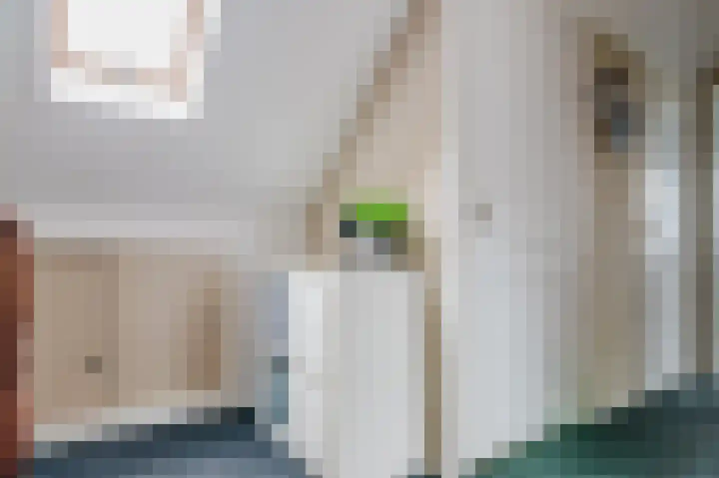 De Buorren 52 Lippenhuizen thumbnail 72