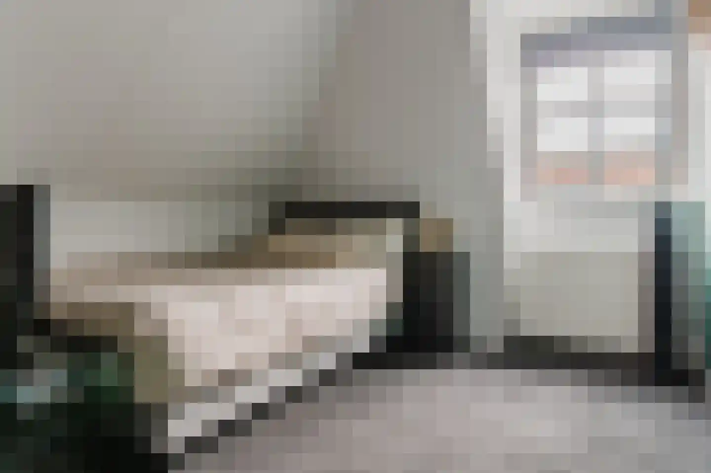 De Buorren 52 Lippenhuizen thumbnail 73