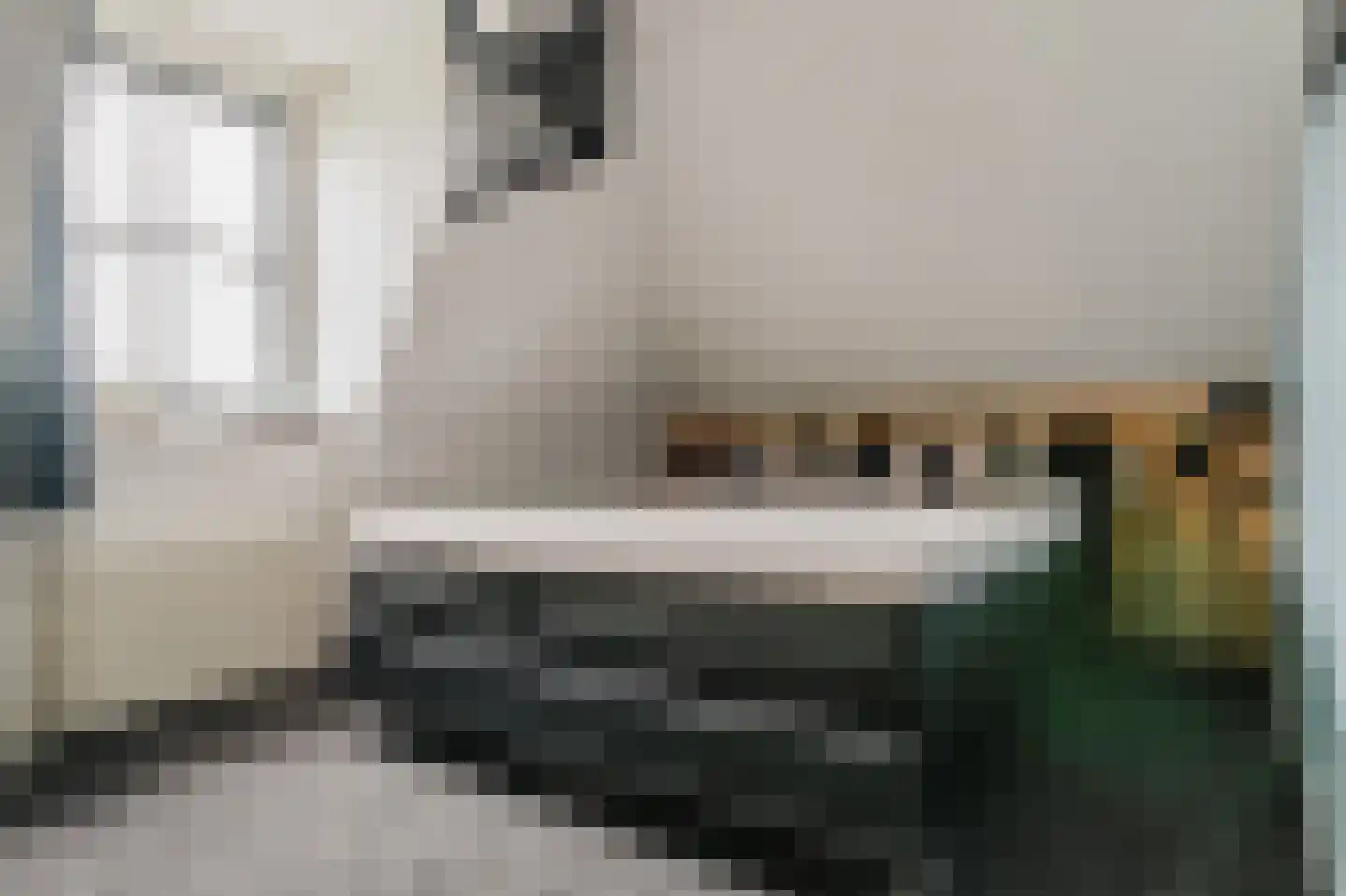 De Buorren 52 Lippenhuizen thumbnail 75