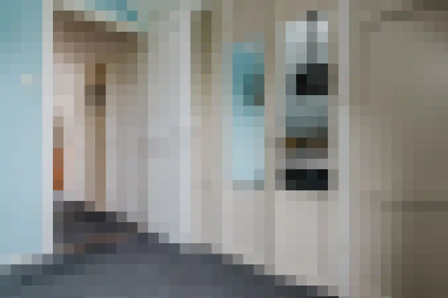 De Buorren 52 Lippenhuizen thumbnail 76