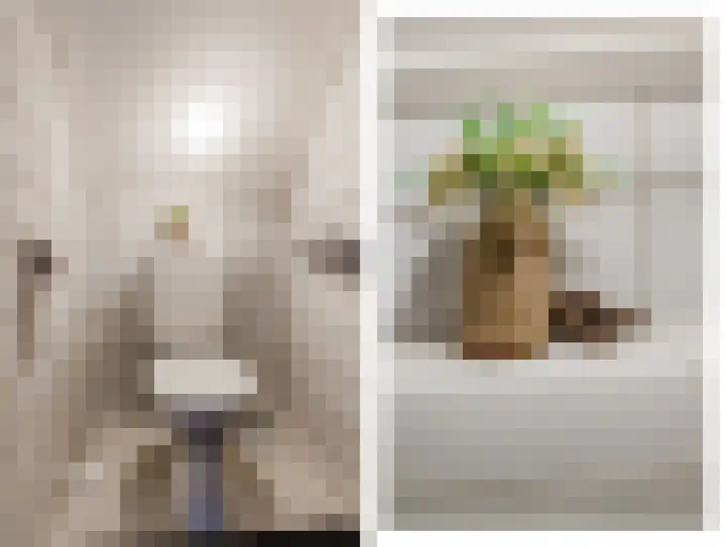 De Buorren 52 Lippenhuizen thumbnail 77