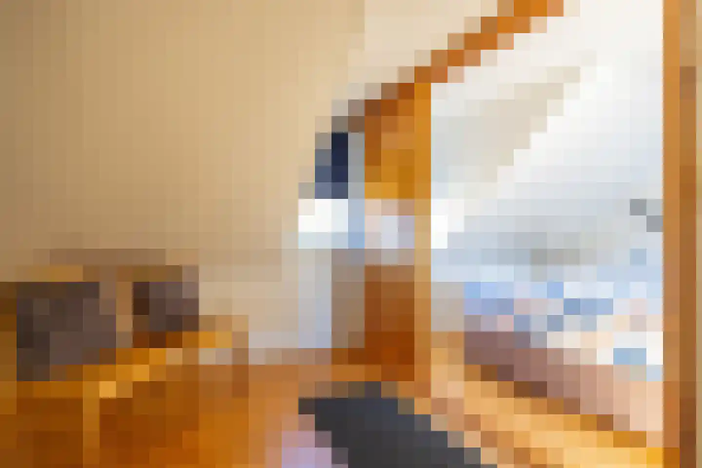 De Buorren 6 Peazens thumbnail 16