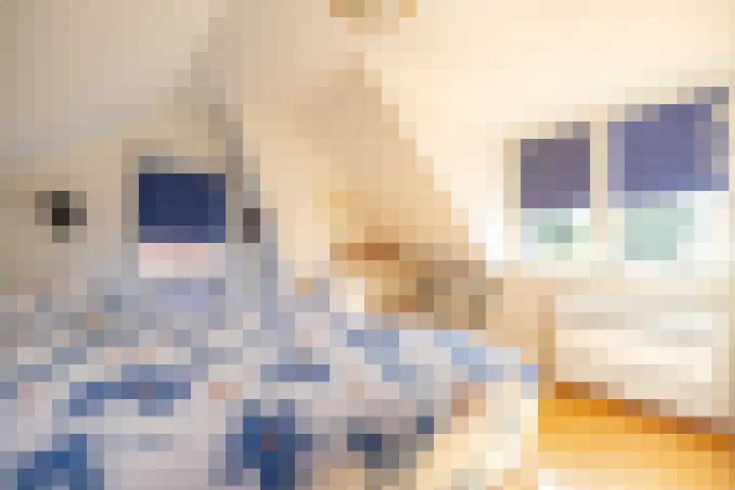 De Buorren 6 Peazens thumbnail 17