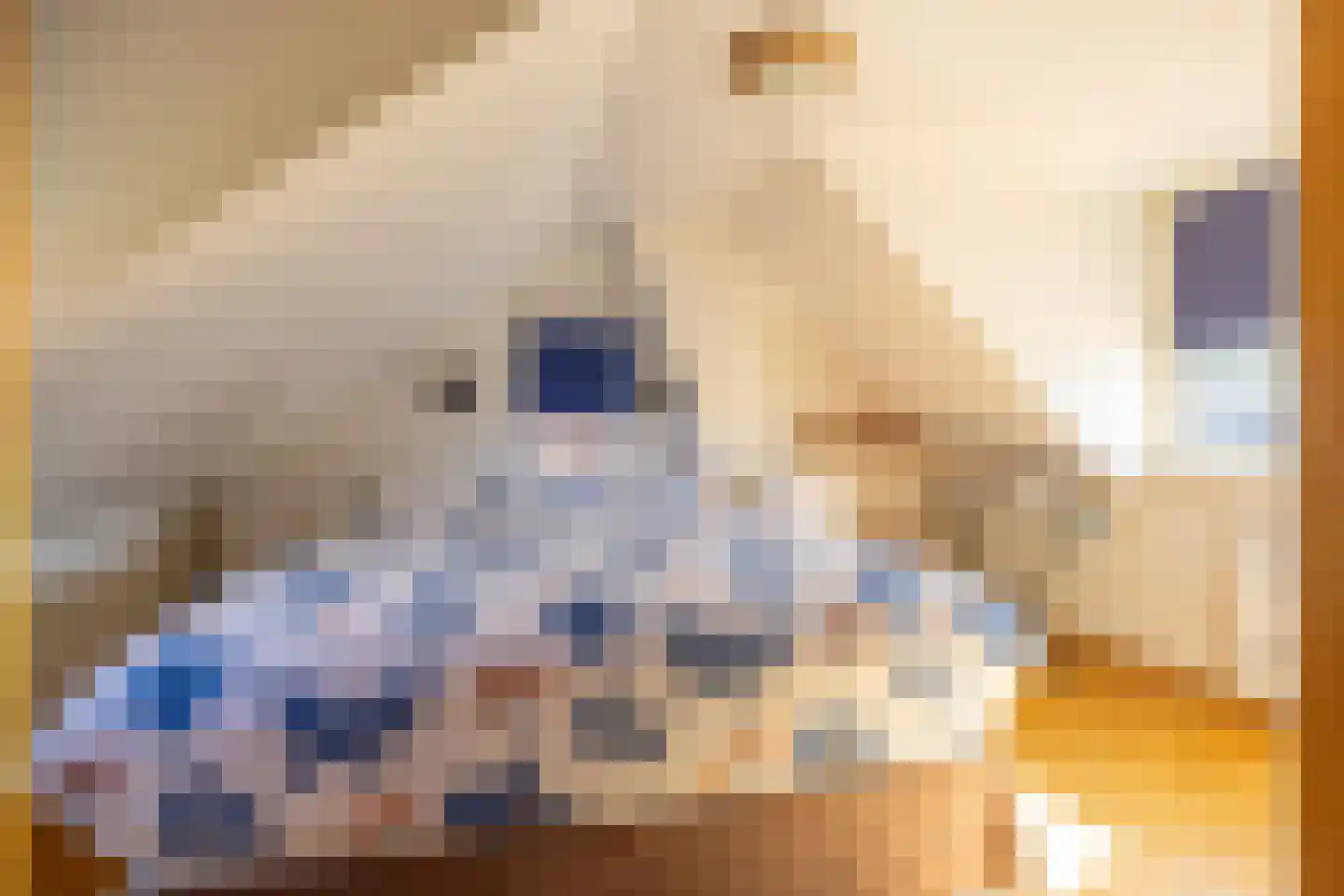 De Buorren 6 Peazens thumbnail 18