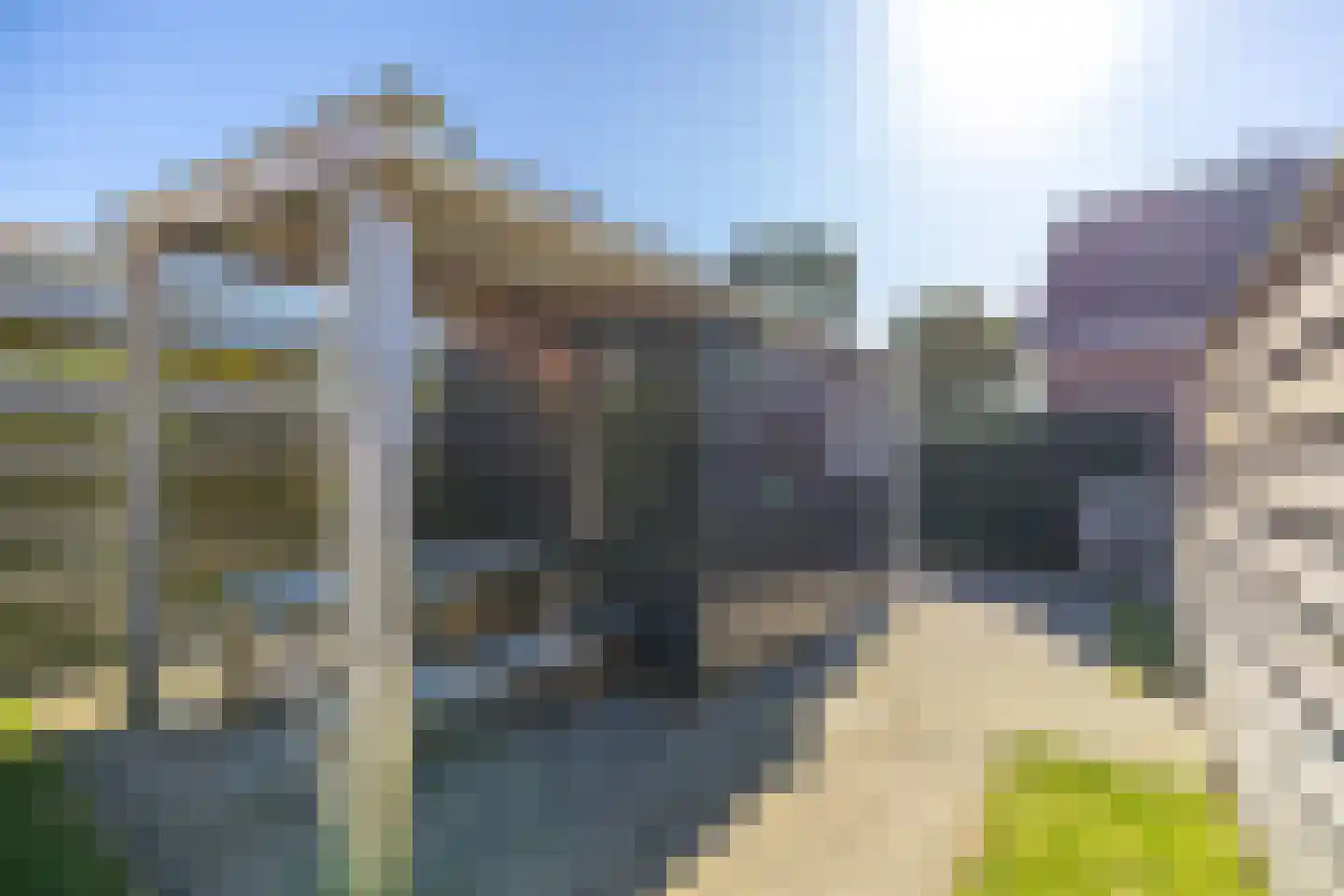 De Buorren 6 Peazens thumbnail 22