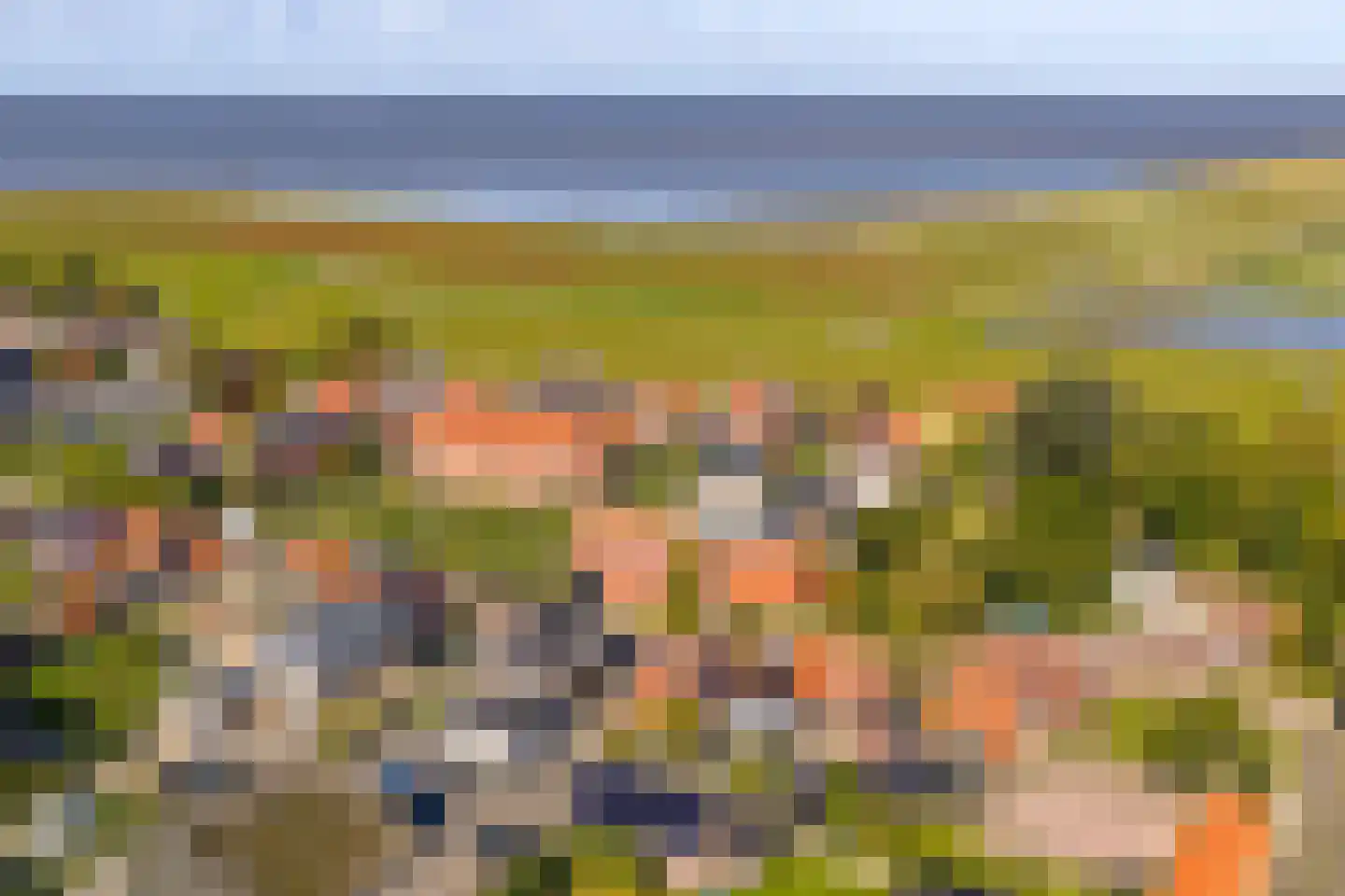 De Buorren 6 Peazens thumbnail 25