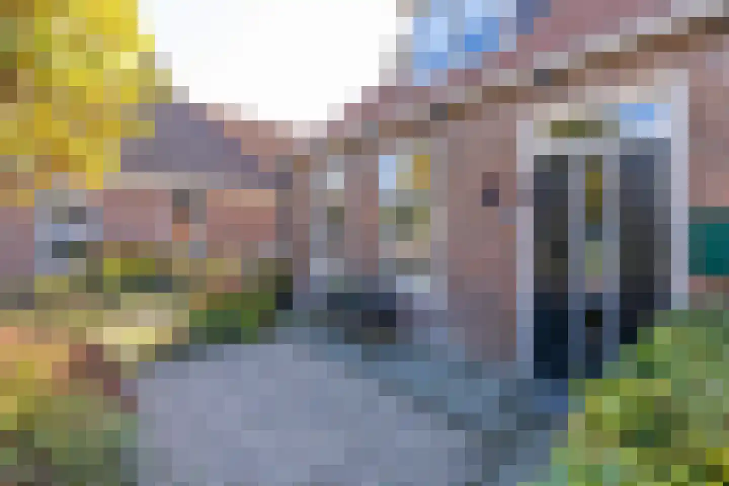 De Buorren 6 Peazens thumbnail 4