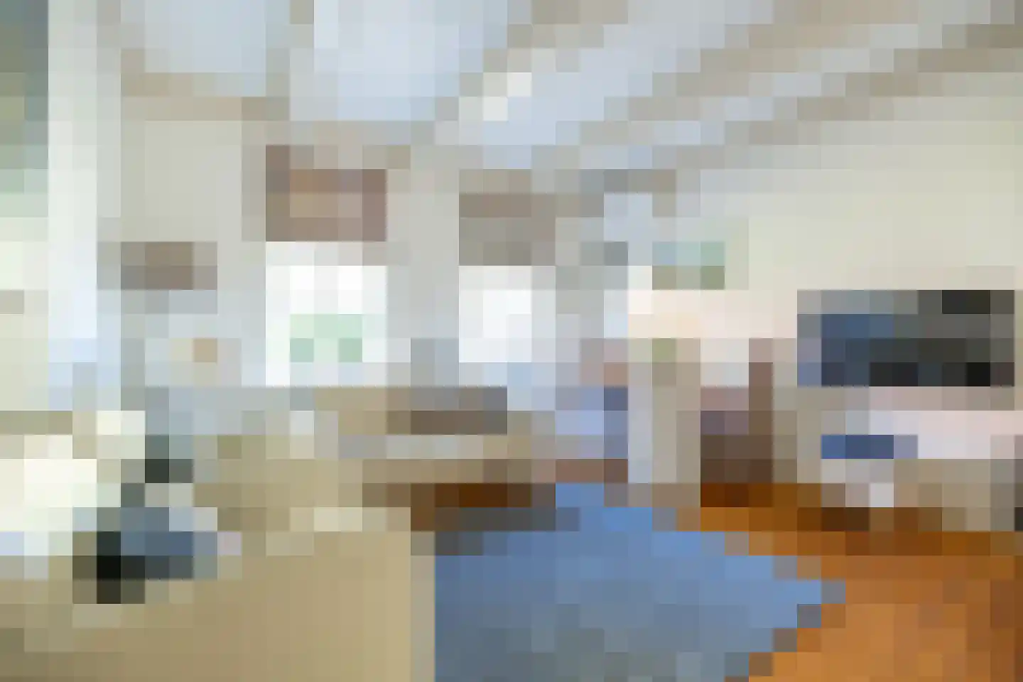 De Buorren 6 Peazens thumbnail 6