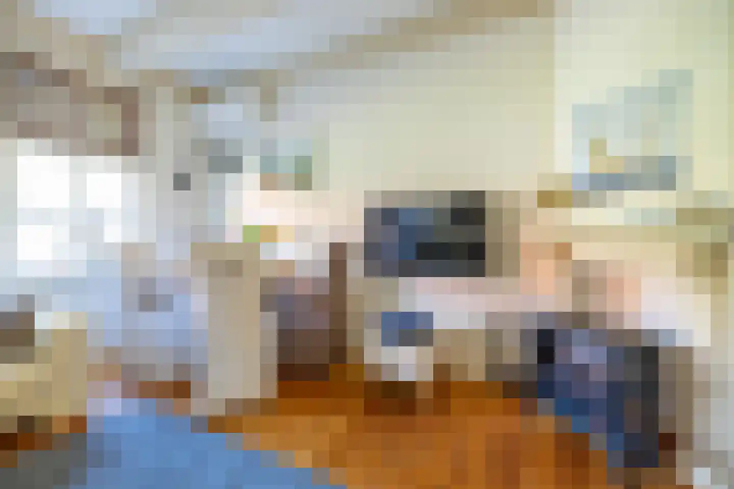 De Buorren 6 Peazens thumbnail 8