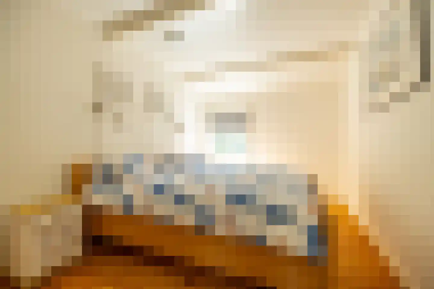 De Buorren 6 Peazens thumbnail 9