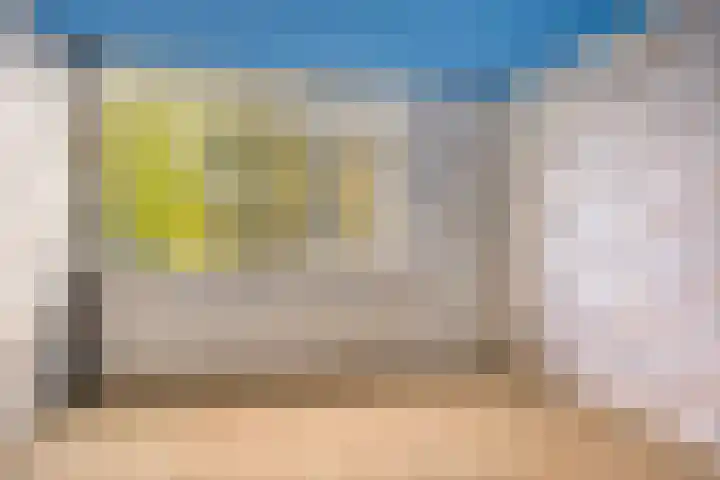 De Buorren 8 Ingwierrum thumbnail 20