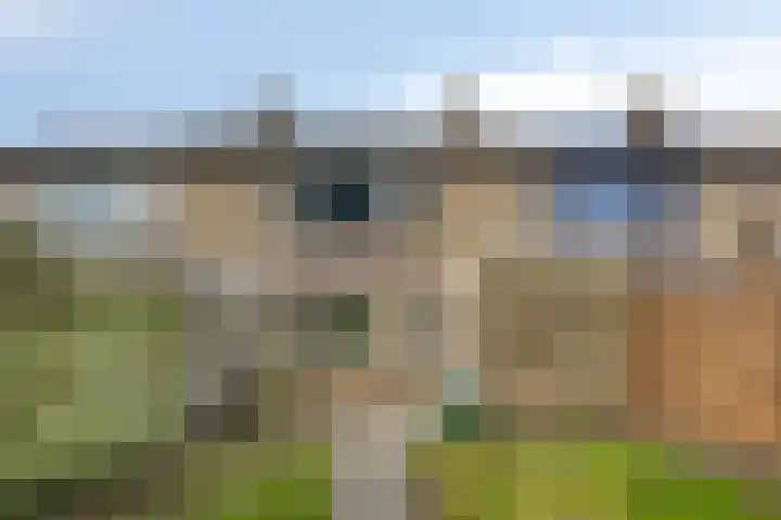 De Buorren 8 Ingwierrum thumbnail 25