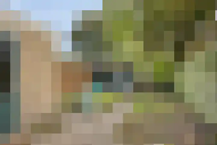 De Buorren 8 Ingwierrum thumbnail 26