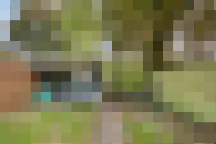 De Buorren 8 Ingwierrum thumbnail 27