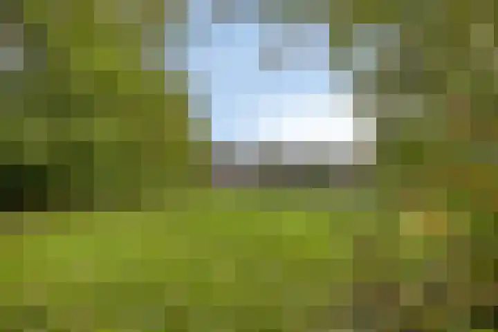 De Buorren 8 Ingwierrum thumbnail 29