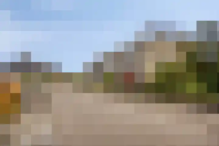 De Buorren 8 Ingwierrum thumbnail 30