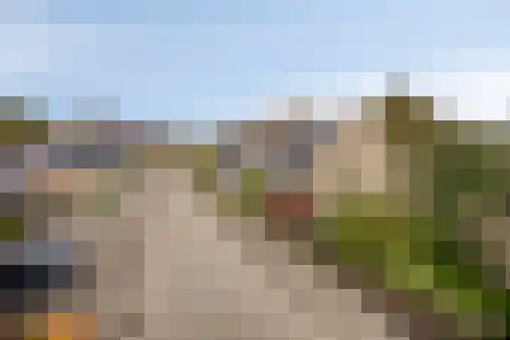 De Buorren 8 Ingwierrum thumbnail 31