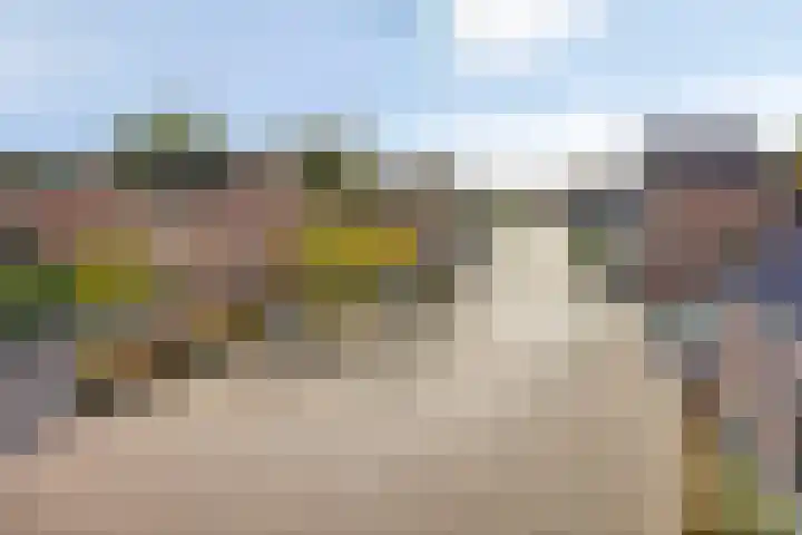 De Buorren 8 Ingwierrum thumbnail 4