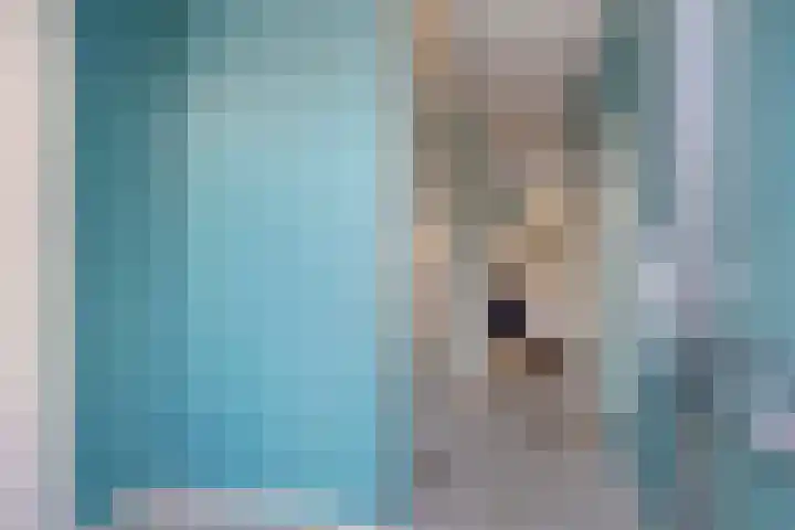 De Buorren 8 Ingwierrum thumbnail 8