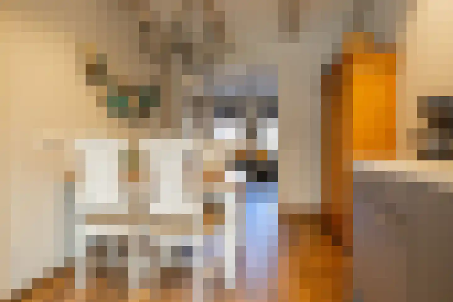 De Buorren 8 Peazens thumbnail 14