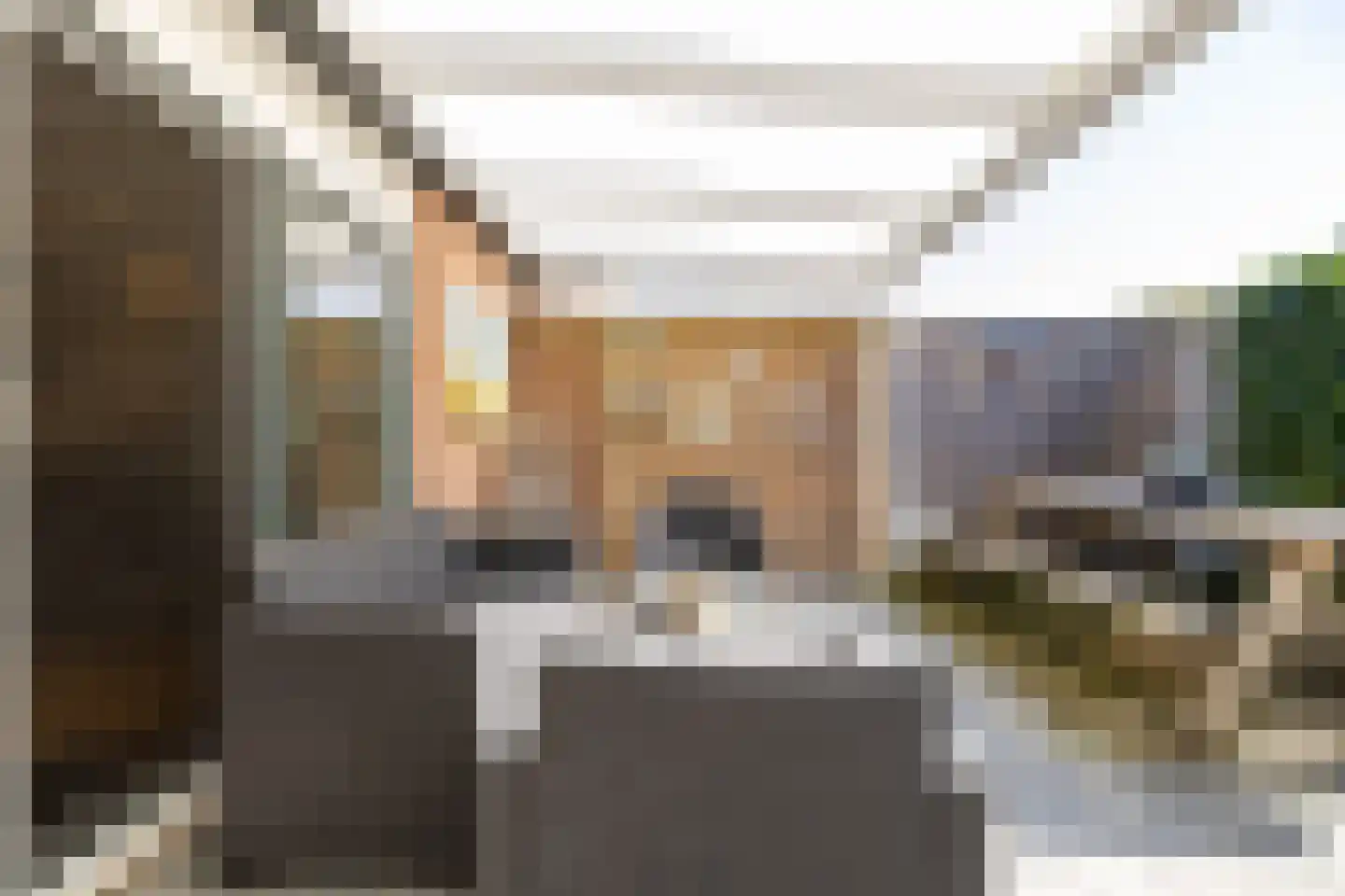 De Buorren 8 Peazens thumbnail 21
